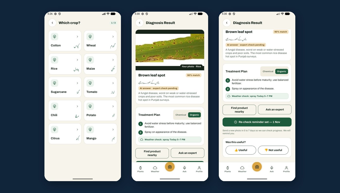 Three app screens: choosing the crop, a rice leaf diagnosed with brown leaf spot, and its treatment plan with a re-check reminder